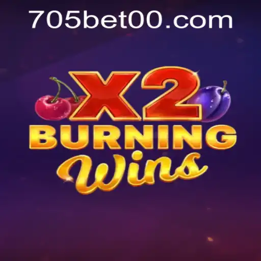 Exploring BurningWinsX2: The Ultimate Gaming Experience