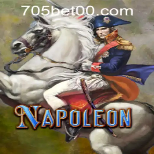 Exploring the World of Napoleon: An Engaging Card Game Experience